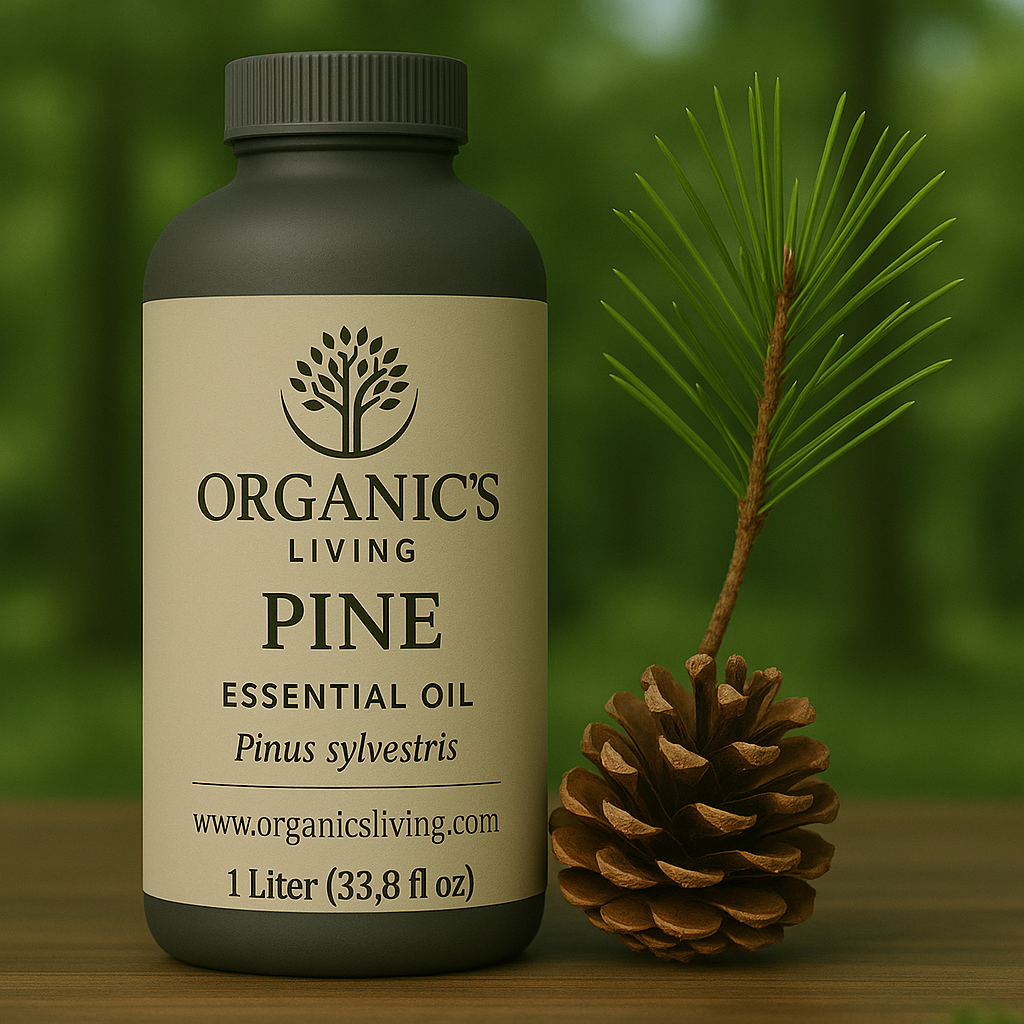 Fresh Pine Essential Oil Bottle for Skin & Aromatherapy