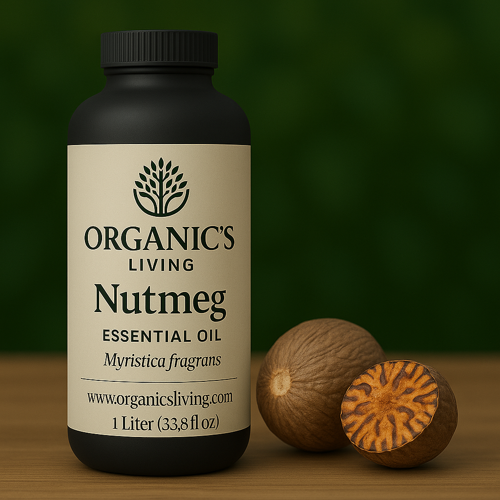 Nutmeg Essential Oil – 100% Pure & Natural for Pain Relief, Digestion & Aromatherapy | Organic’s Living