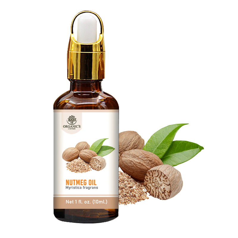 Nutmeg Essential Oil – 100% Pure & Natural for Pain Relief, Digestion & Aromatherapy | Organic’s Living