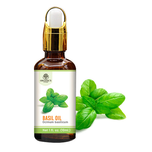 Basil Essential Oil