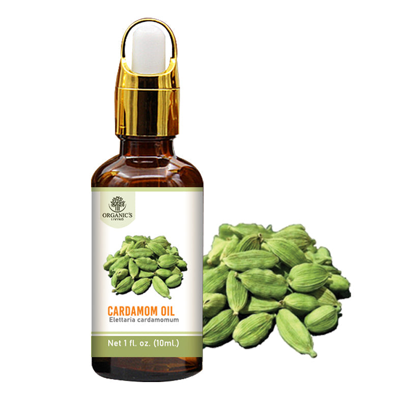 Cardamom Essential Oil