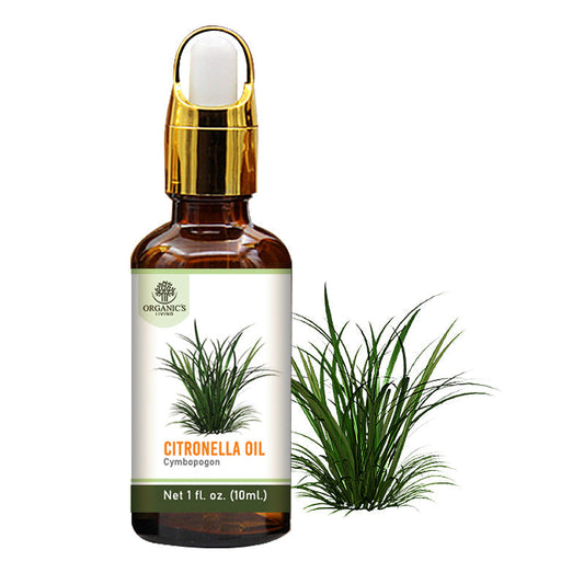 Citronella Essential Oil Bottle – 100% Pure & Natural | Organic’s Living