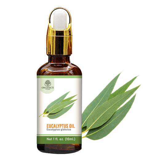 Eucalyptus Essential Oil Bottle – 100% Pure & Natural | Organic’s Living