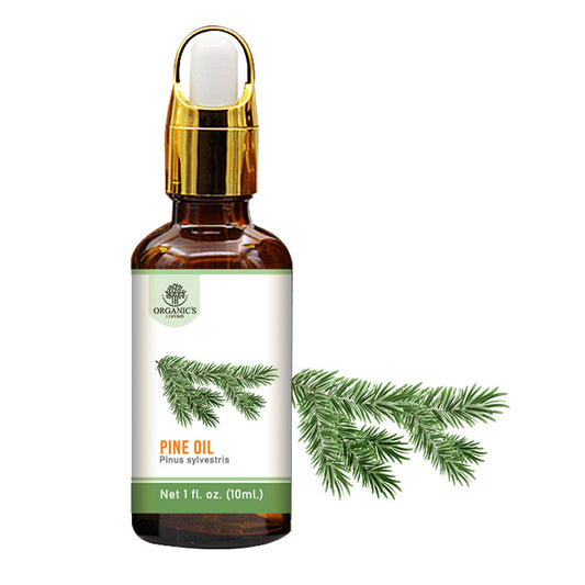 Pine Essential Oil – 100% Pure & Natural | Organic’s Living