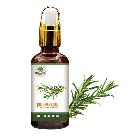Rosemary Essential Oil – 100% Pure & Natural | Organic’s Living