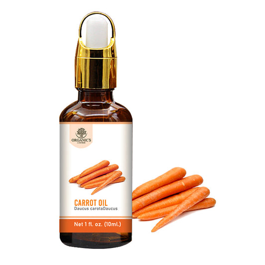 Carrot Seed Oil