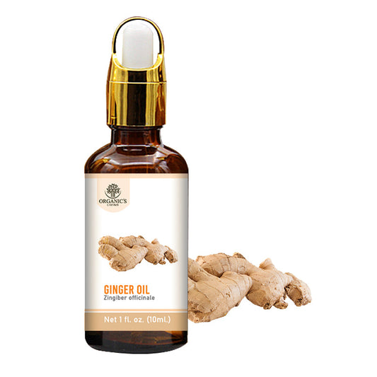 Ginger Essential Oil